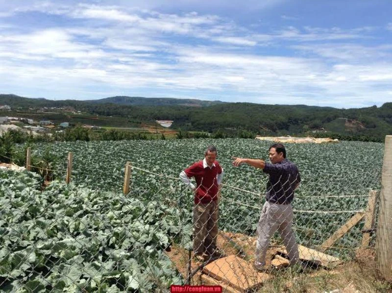 Làm sao thực hiện ước mơ cuối cùng của người cận vệ Bác Hồ? ảnh 2